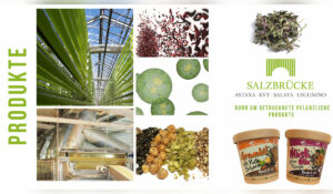 Zu sehen ist eine Produktcollage des Kompetenzzentrums Salzbrücke, einem teilnehmenden Unternehmen bei der INDUSTRIE INTOUCH 2022. Dargestellt sind Eindrücke aus den Produktionshallen und getrocknete pflanzliche Produkte.
