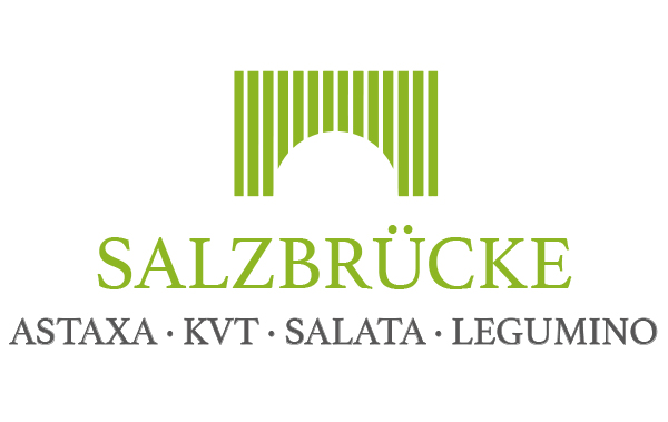 Logo der SALZBRÜCKE - Astaxa GmbH Salata AG KVT GmbH, einem teilnehmenden Unternehmen bei der INDUSTRIE INTOUCH.